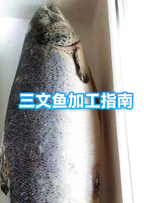 鲈鱼买回来放几个小时再做还新鲜吗