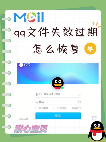 如何把qq文件下载到手机本地