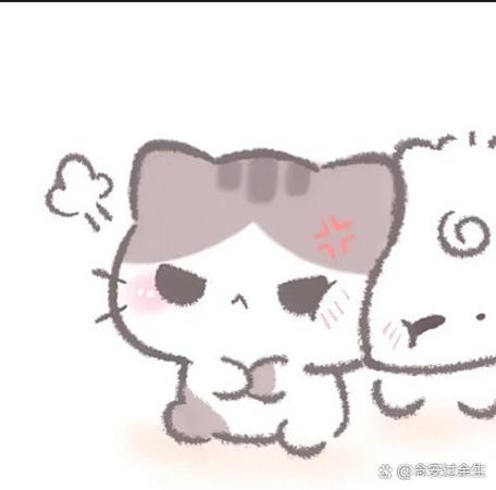 猫 情头
