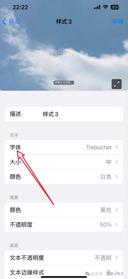 苹果X的字体怎么变大