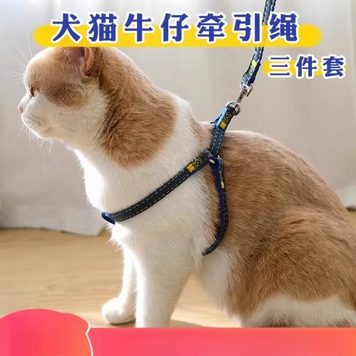猫咪的牵引绳选择方法