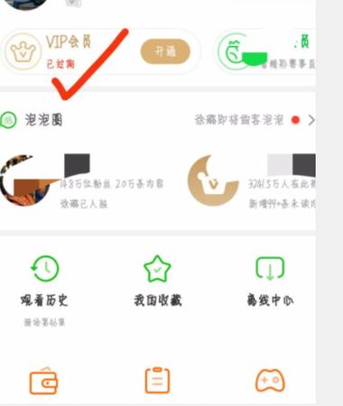 如何查看爱奇艺会员有几个人用