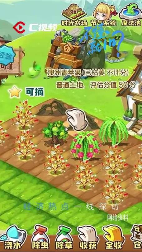 菜园大师游戏