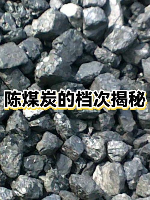 暴露版二次元游戏