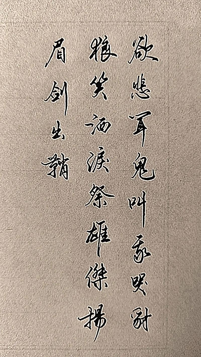 扬眉剑出鞘我哭豺狼笑是什么意思