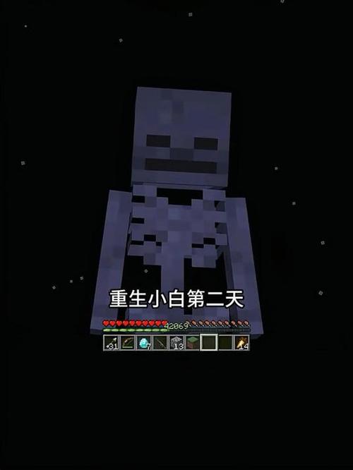 我的世界小白奇妙冒险2515